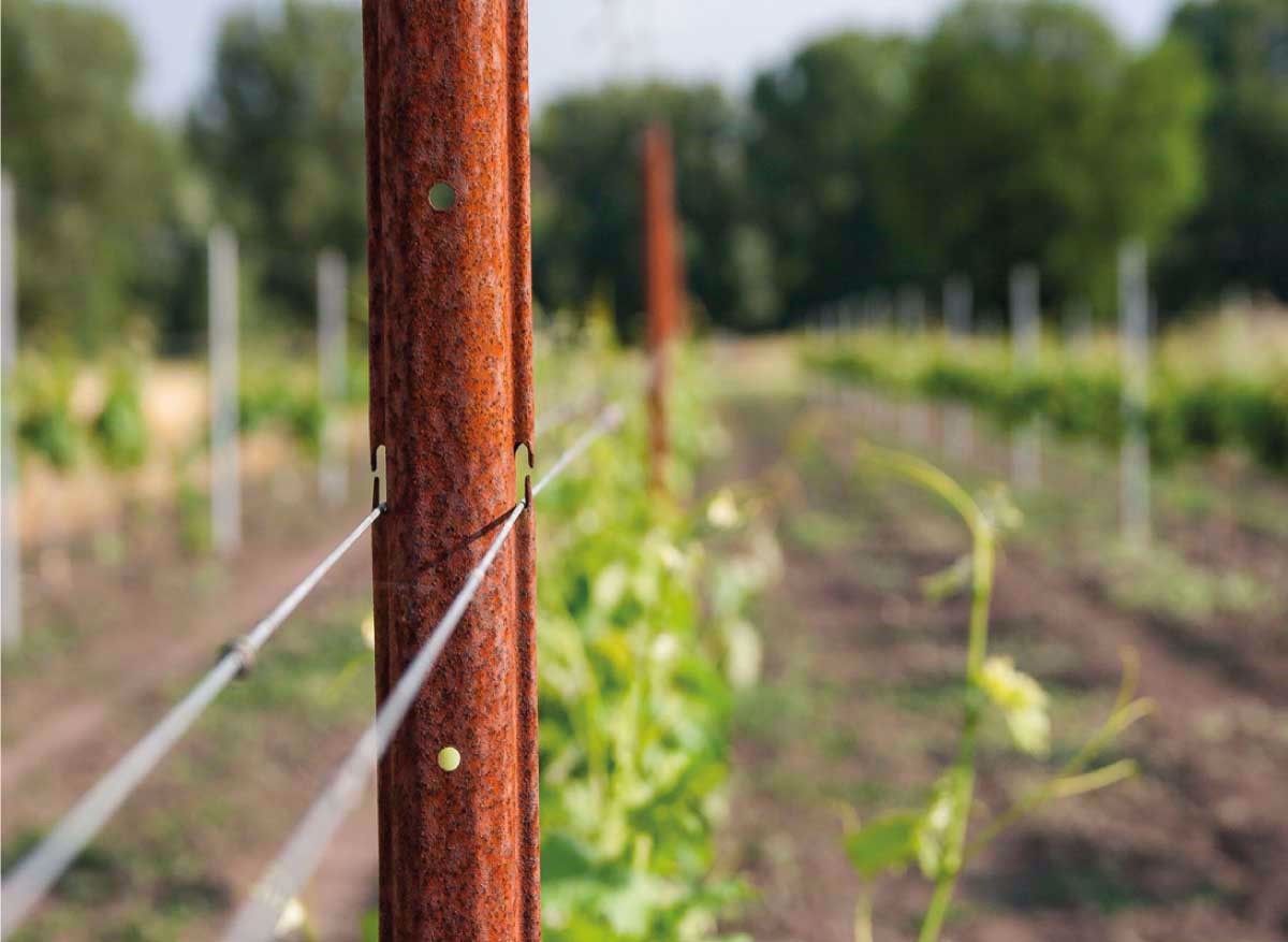 Ferramenta Brico Paletti Per Vigneto Grottaminarda Avellino Palo