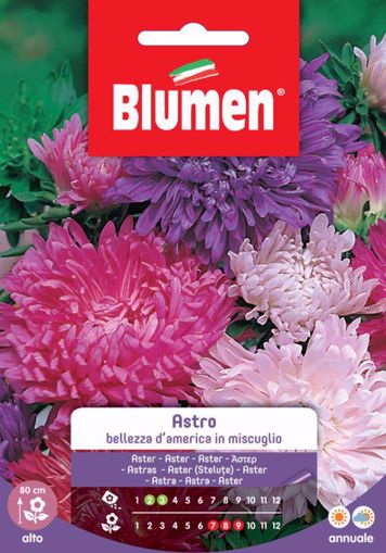 Ferramenta Brico Paletti Per Vigneto Grottaminarda Avellino Semi Di Astro Bellezza America Color Mix Blumen Fiori Grandi Aiuole Vaso Pianta